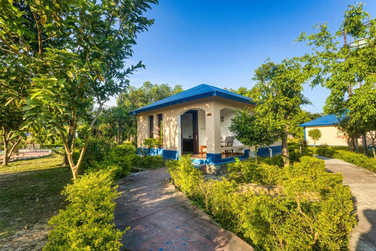 Tusk And Roar Corbett Resort, Jim Corbett Ramnagar  Luaran gambar